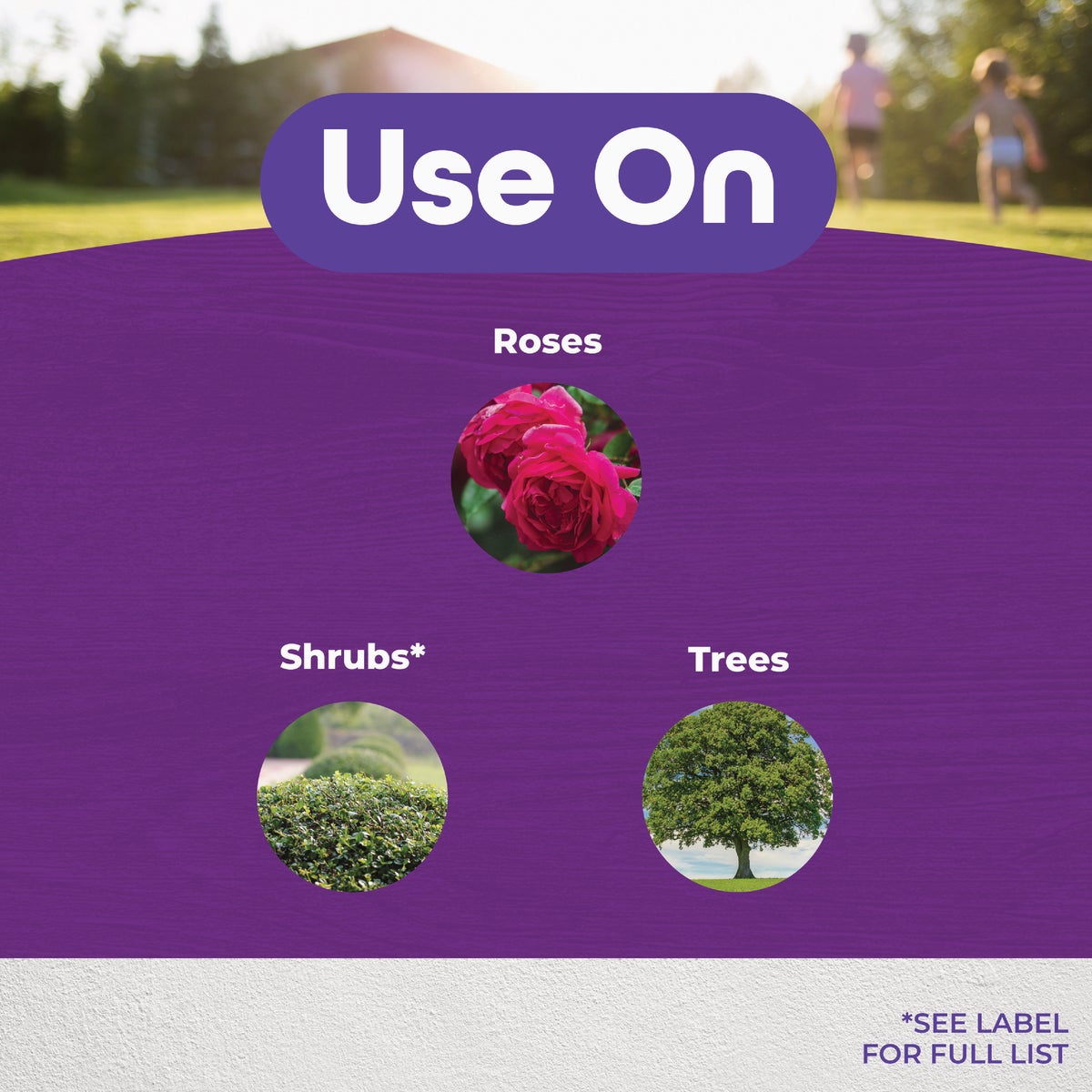 Pruning Wound Sealer Image 4