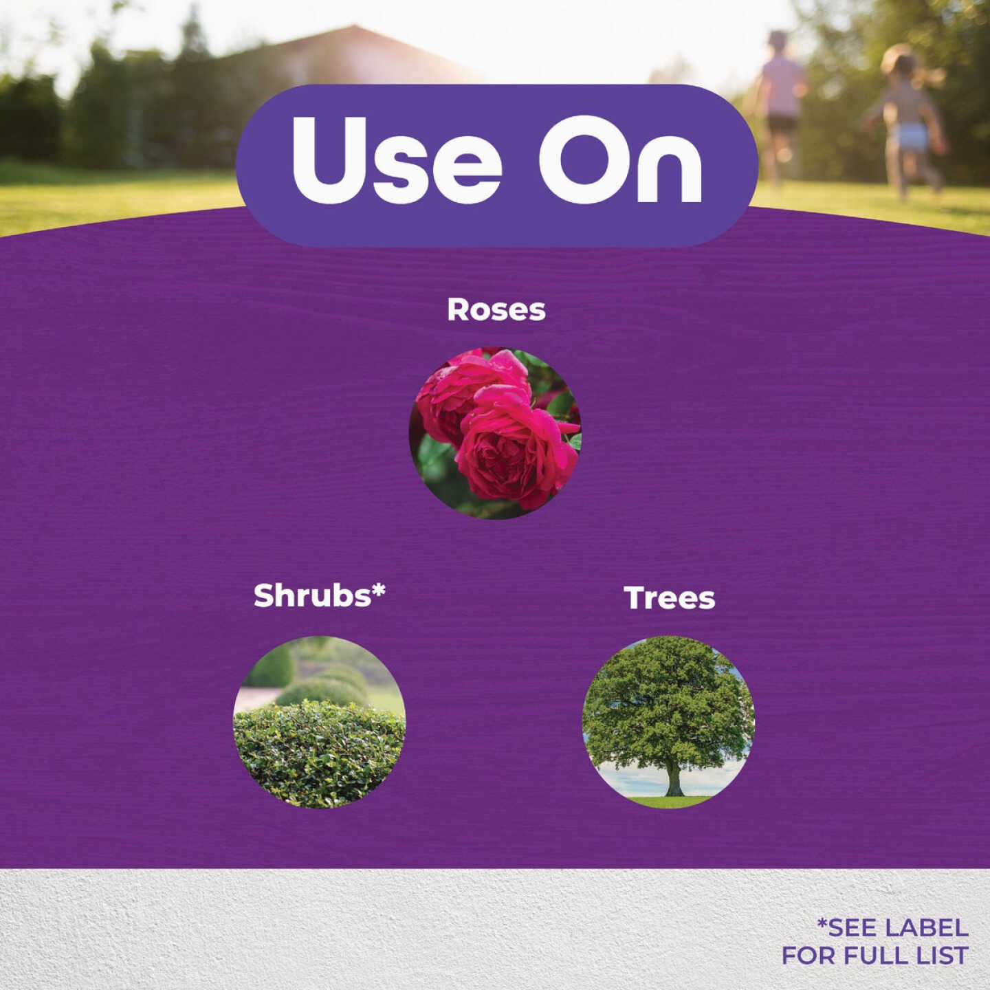 Pruning Wound Sealer Image 4