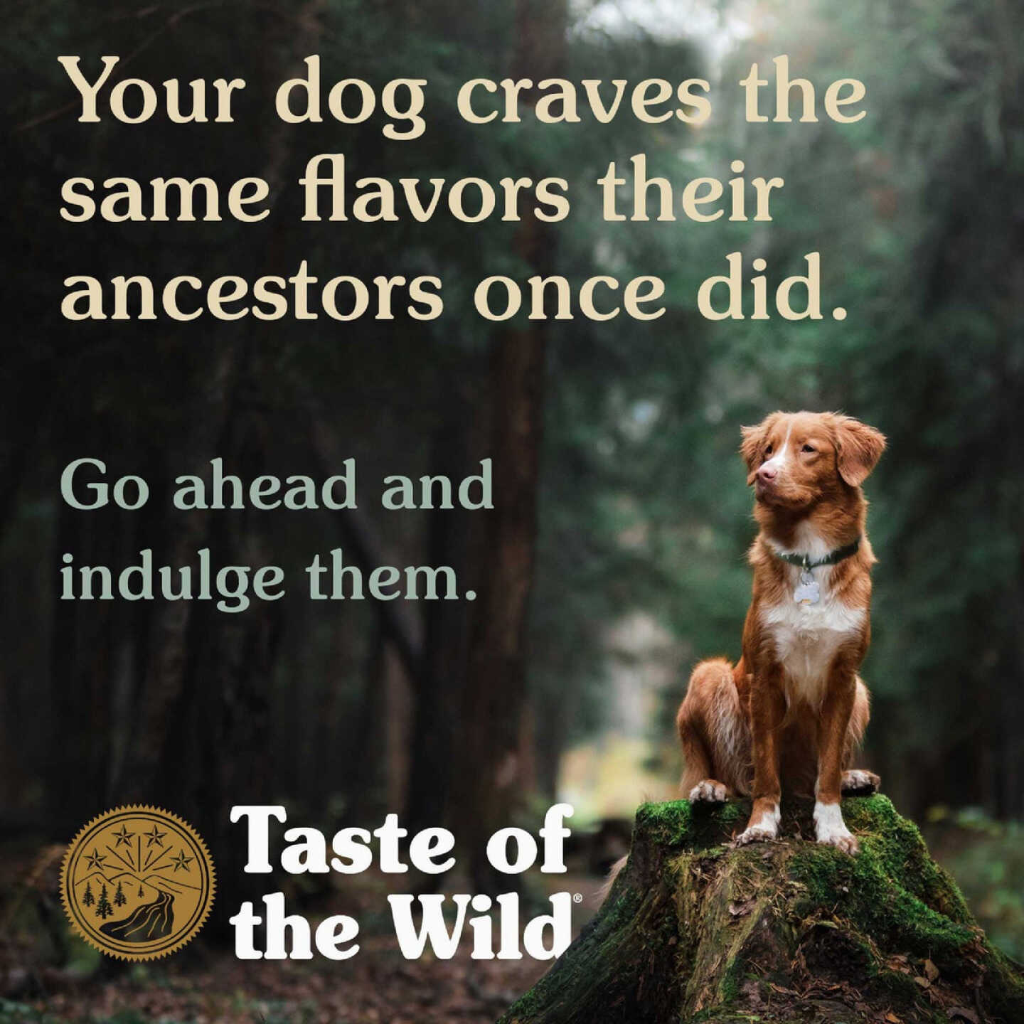 5-Lb. Taste Of The Wild High Prairie Image 5