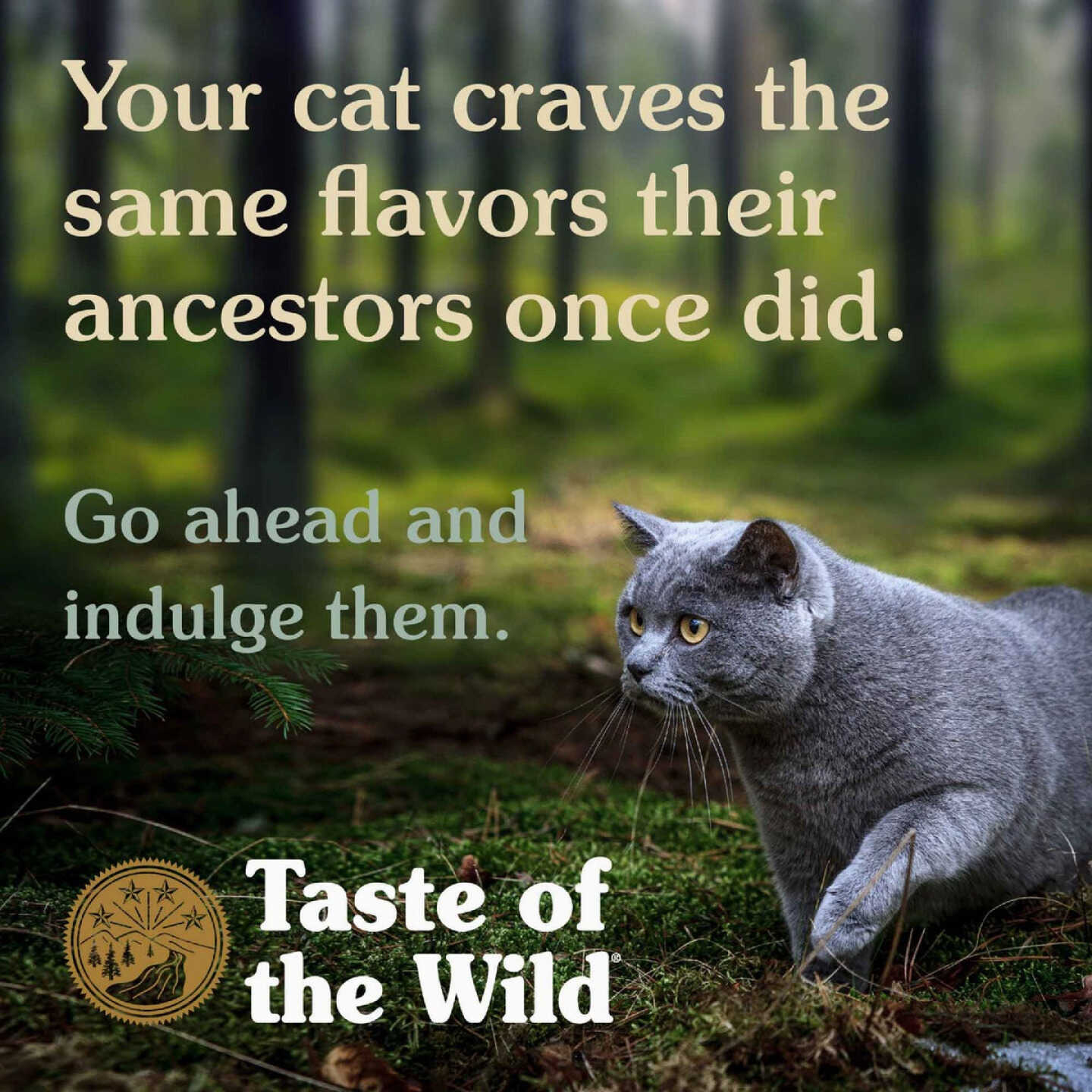 5-Lb. Taste Of The Wild Rocky Mountain Feline Image 5