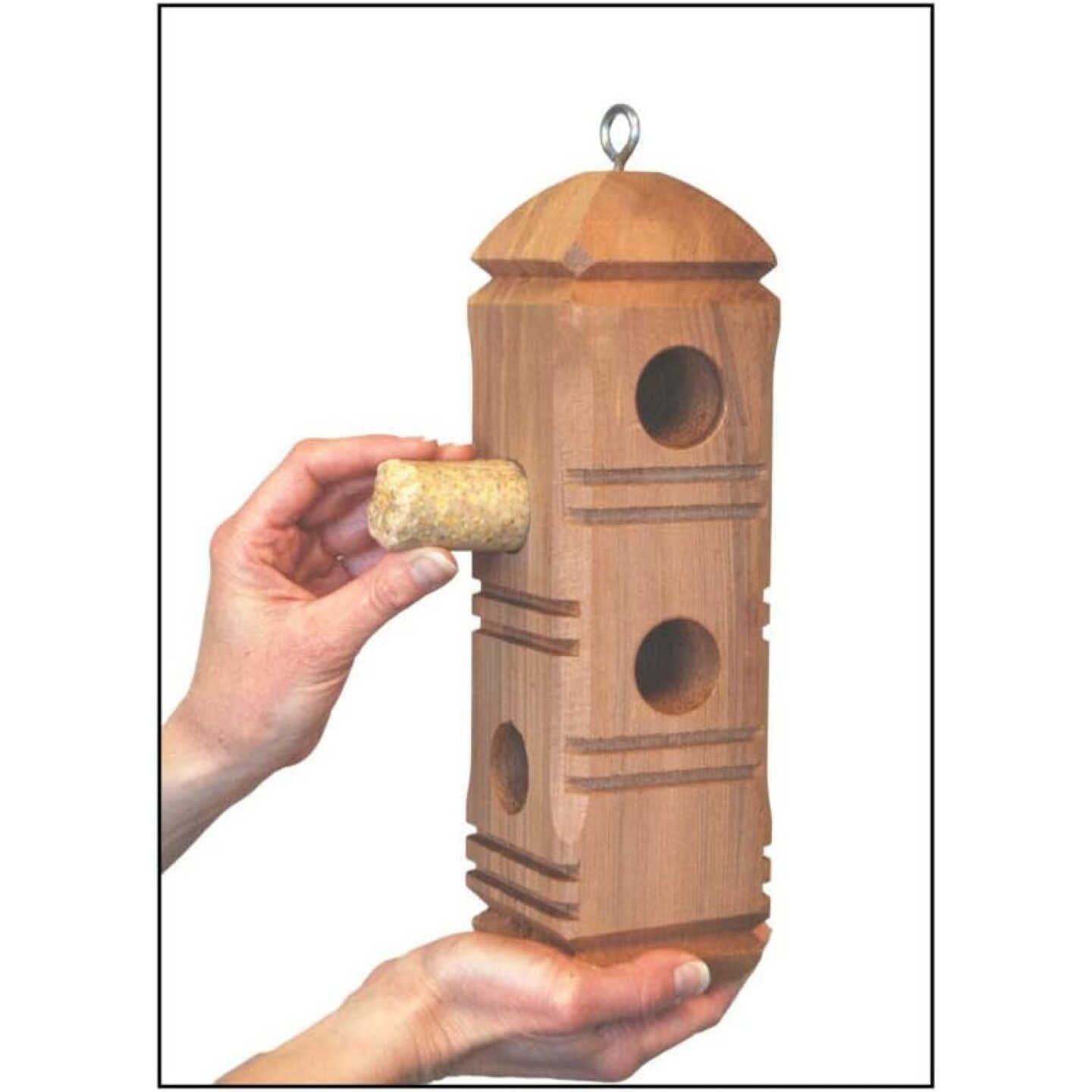 Wildlife Sciences Insects & Nuts Suet Plugs Image 3