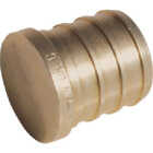3/4-In. Barb Plug Image 1