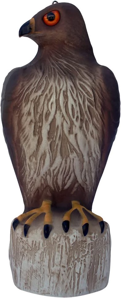 Bird B Gone Hawk Decoy
