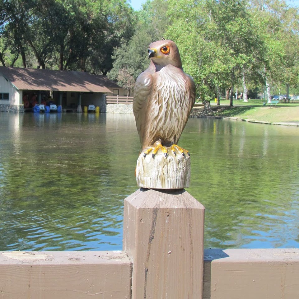 Bird B Gone Hawk Decoy Image 2