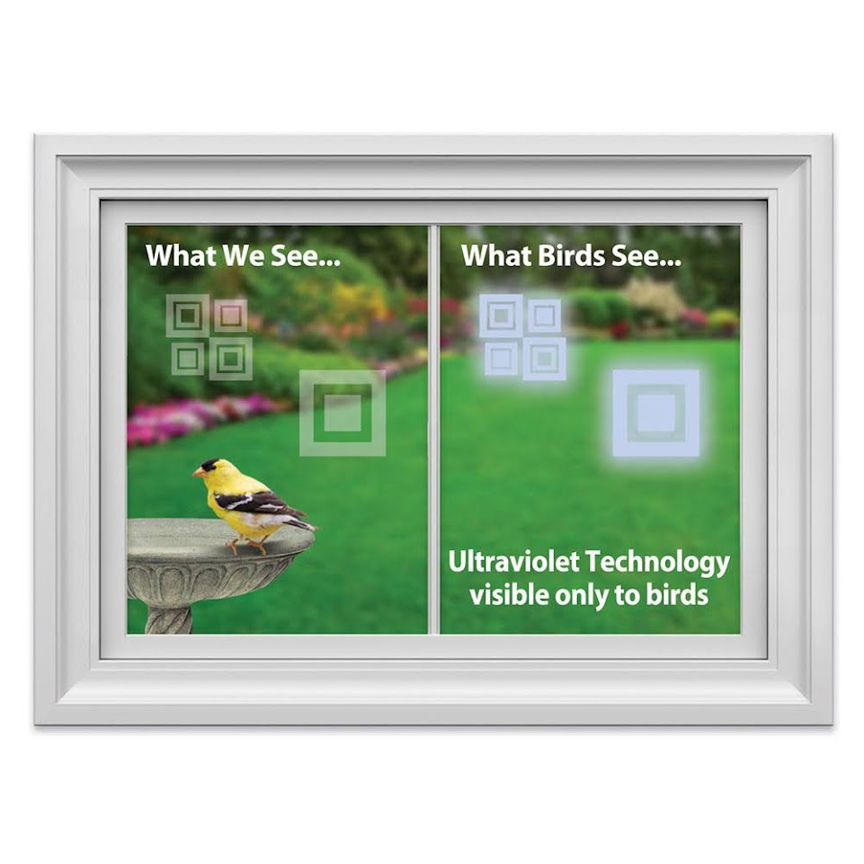 Window Alert Modern Square Decal 4 Pack