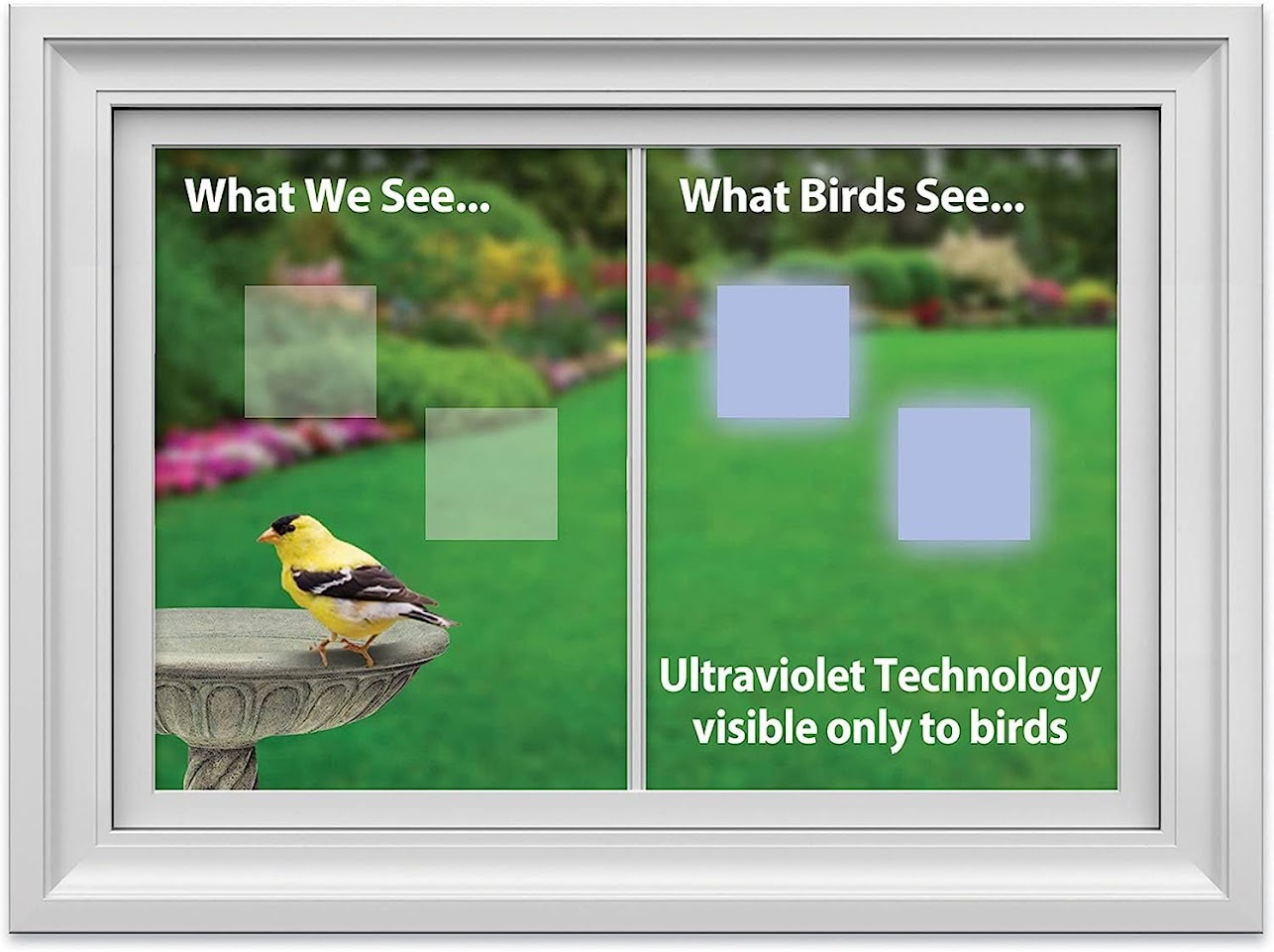 Window Alert Square Decal 4 Pack