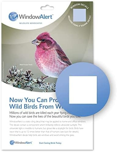 Window Alert Square Decal 4 Pack Image 3
