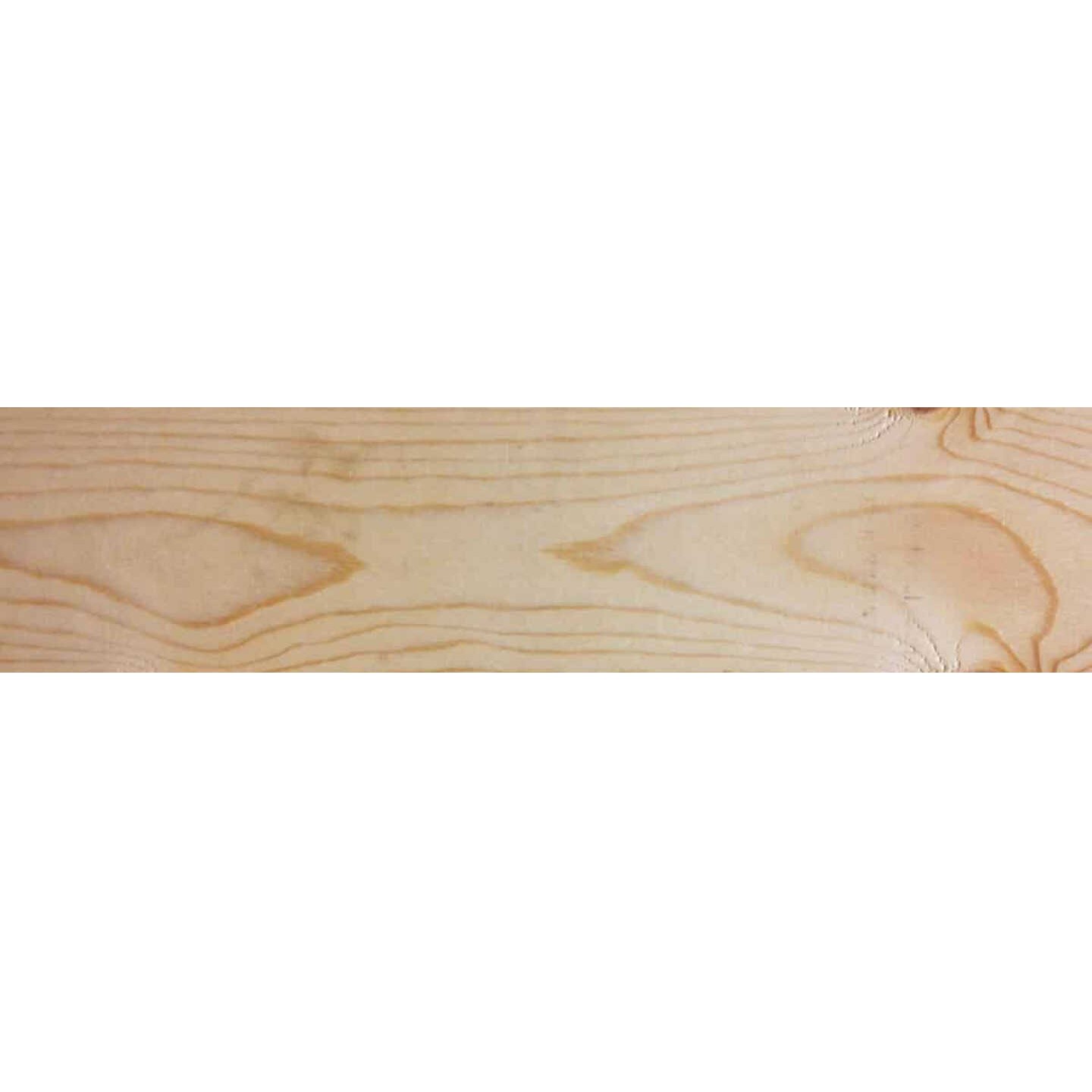 1 In. x 4 In. x 16 Ft. Appearance Grade Ground Contact Treated Lumber