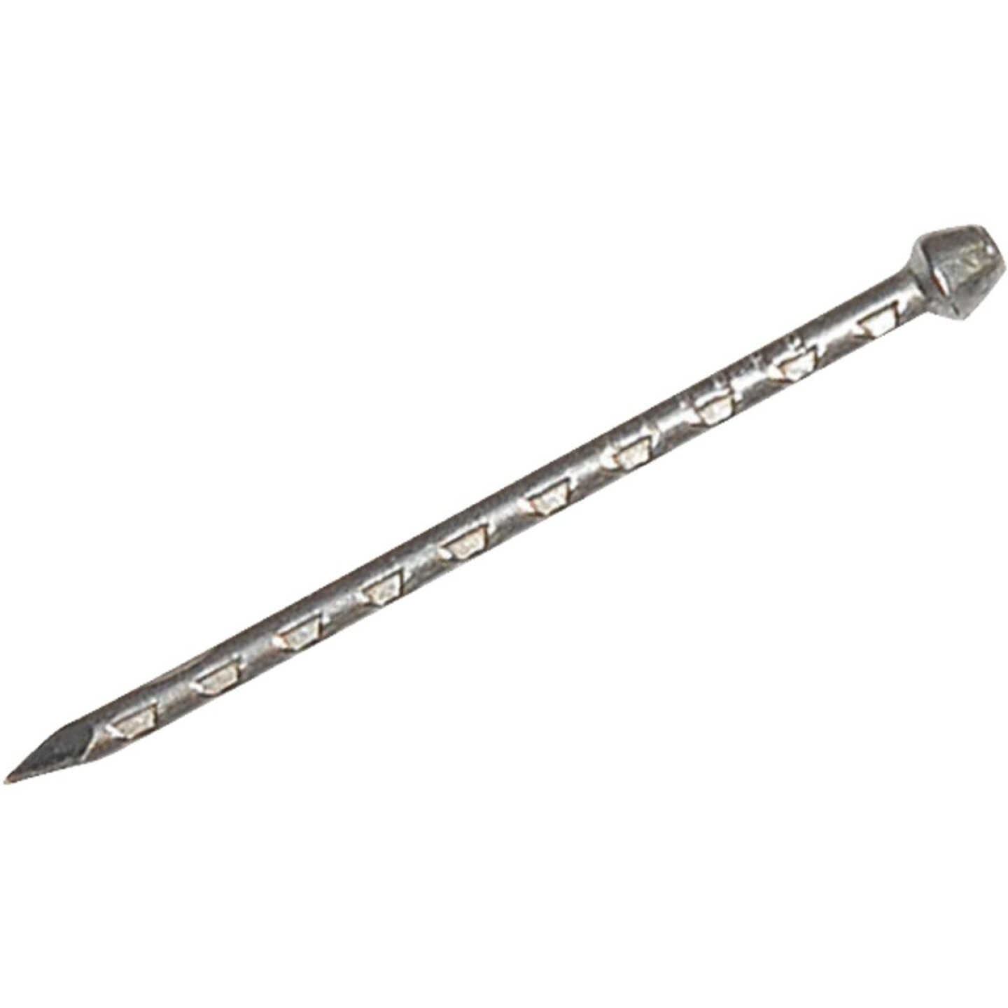 1 LB LACQUER STEEL NAILS Image 2