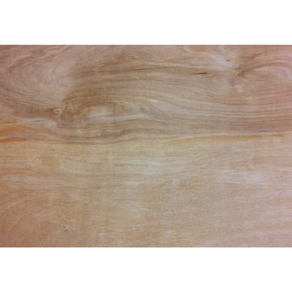 ProWood 3/8 In. x 24 In. x 24 In. Birch Plywood