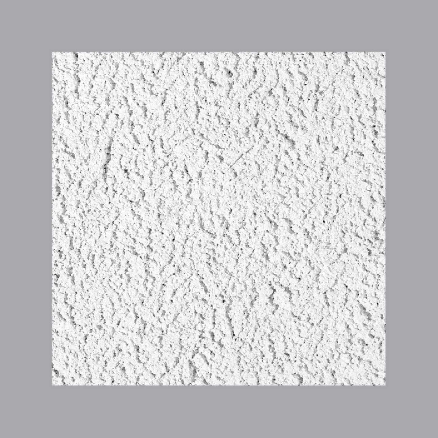 USG Glacier 2 Ft. x 2 Ft. Basic Acoustical Ceiling Panels (8-Count) Image 2