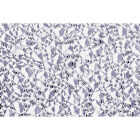 Plaskolite 2 Ft. x 4 Ft. Cracked Ice White Acrylic Light Panel Image 1