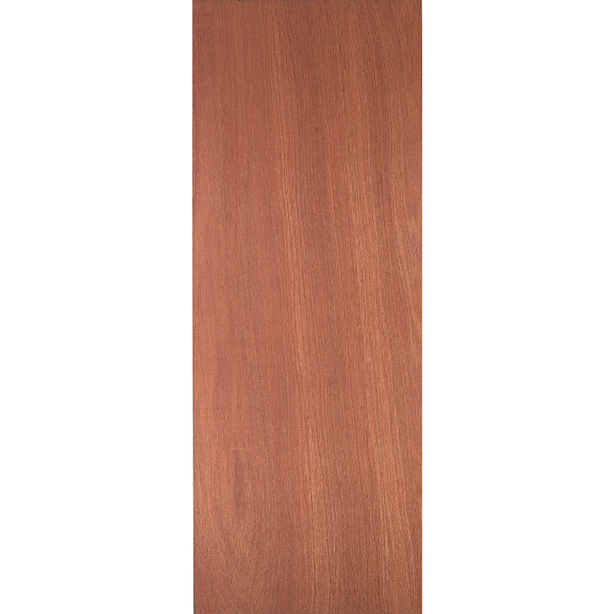 Masonite 36 In. W. x 80 In. H. Lauan Wood Interior Hollow Core Door Slab