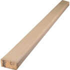 Alexandria Moulding 2 In. x 2 In. x 8 Ft. Douglas Fir Wood Stud Image 1