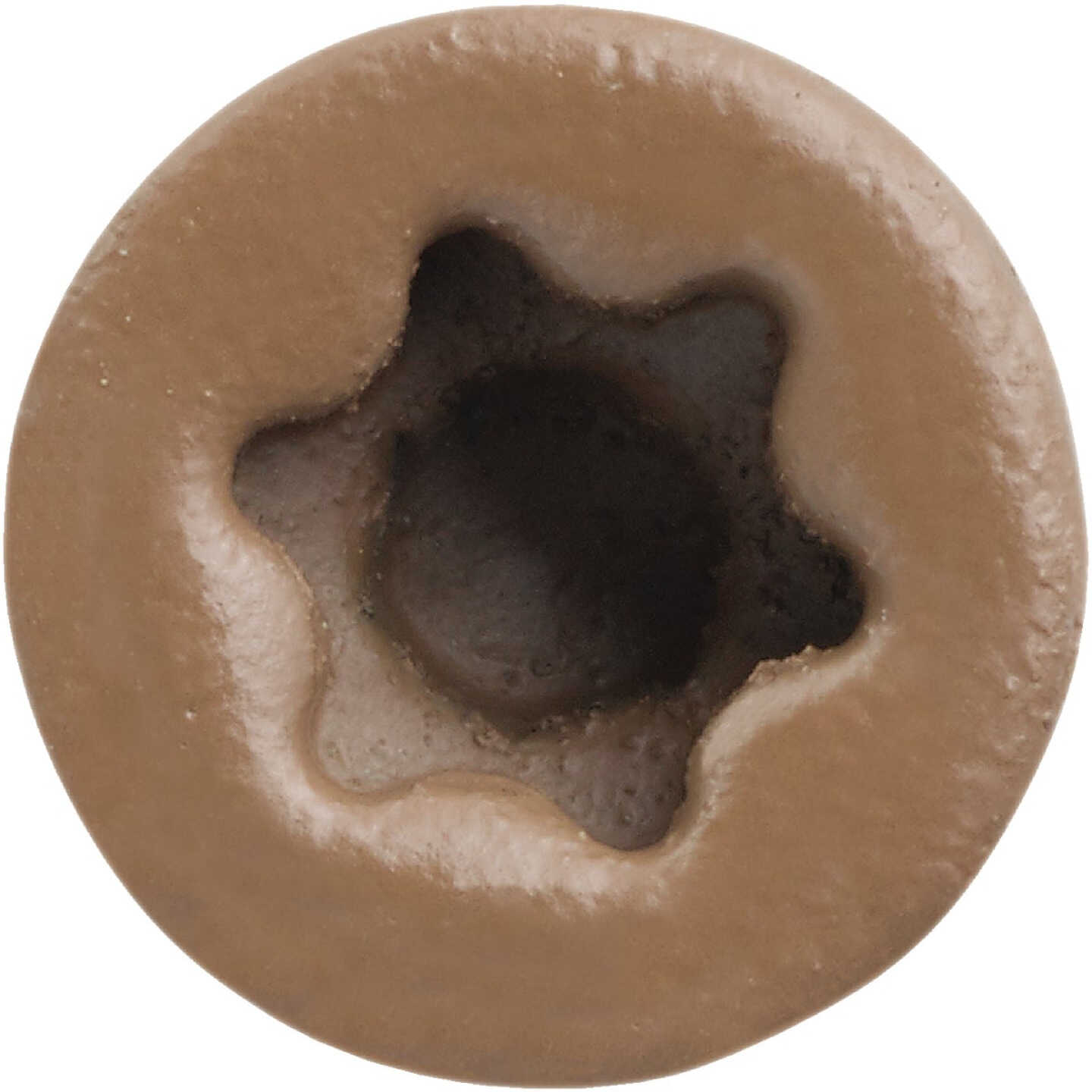 FastenMaster TrapEase #10 x 2-1/2 In. Brown Ultimate Composite Deck Screw (1050-Count Pail) Image 2