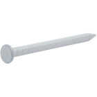 Do it Best 1-1/4 In. 12.5 ga White Aluminum Siding Nail (1 Lb.) Image 1