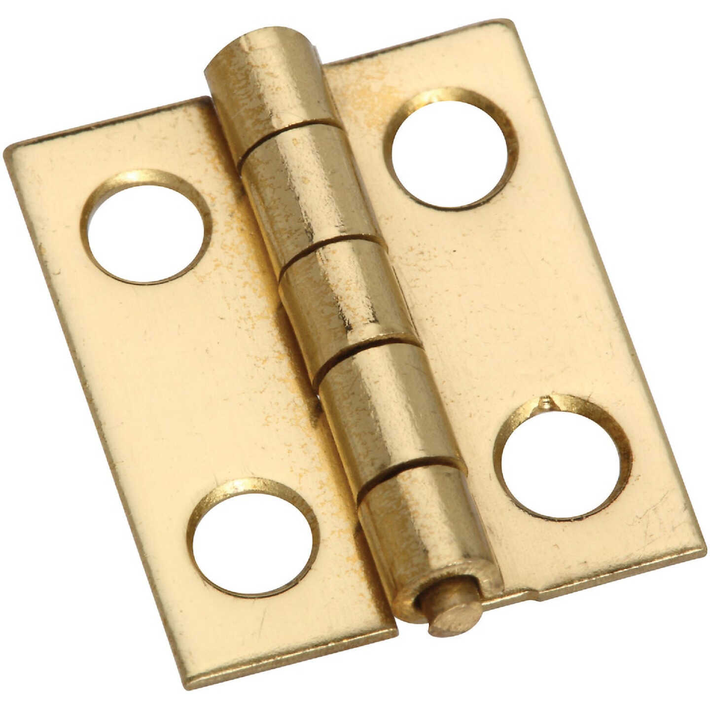National Hardware 3/4 In. x 5/8 In. Narrow Brass Decorative Hinge (4-Pack) Image 1