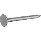 Hillman Fas-n-Tite 1-1/2 In. Electrogalvanized Roofing Nails (1 Lb.) Image 1