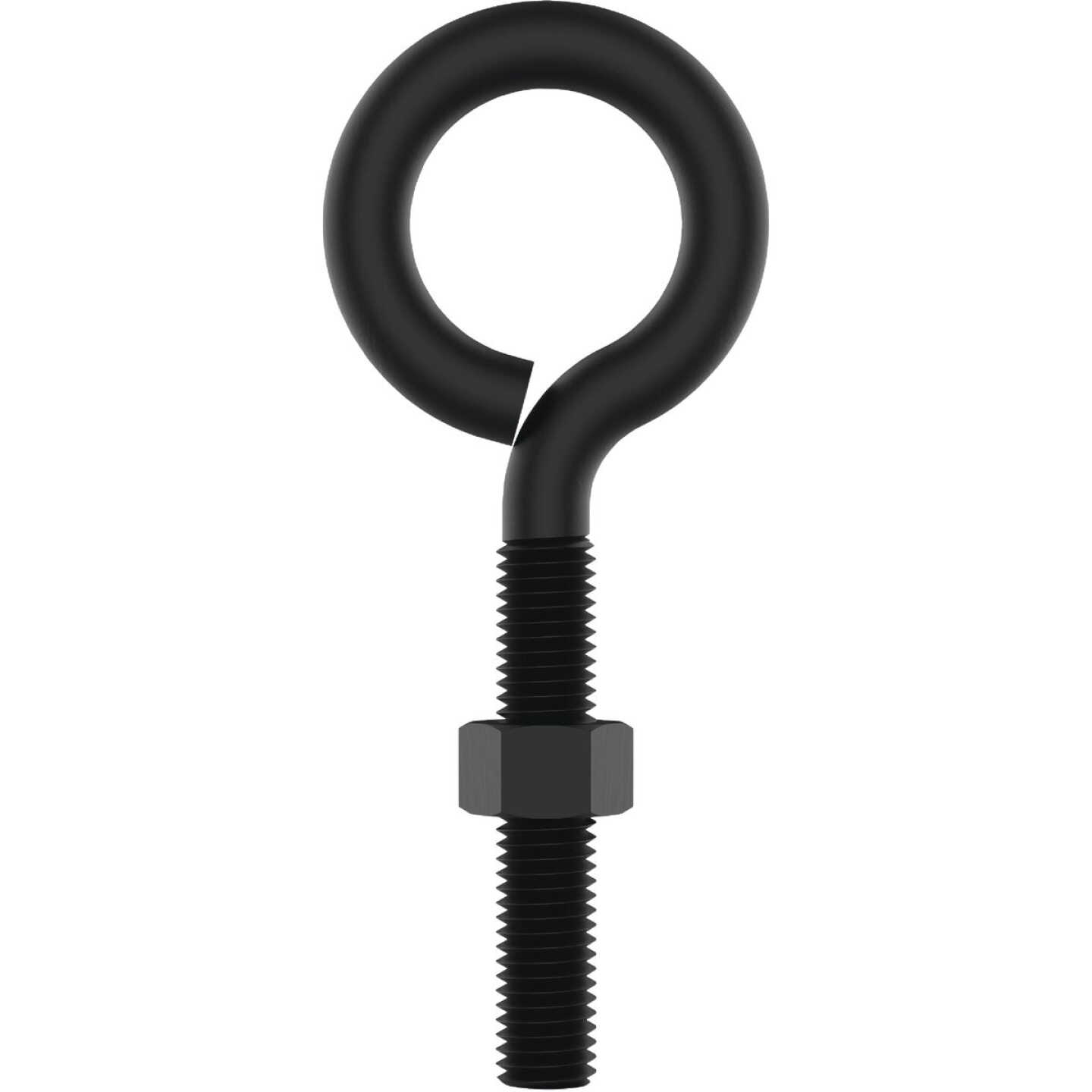 National Hardware 3/8 In. x 4 In. Storm Shine Eye Bolt with Nut Image 1
