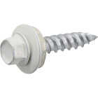 Hillman Fas-n-Tite #10 x 1 In. White Painted Self-Piercing Roofing Screw (102-Count) Image 2