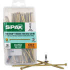 SPAX PowerTrim #9 x 5 In. T10 Plus Cylindric Head HCR (Exterior Rated) White Trim Screw (100-Count) Image 1