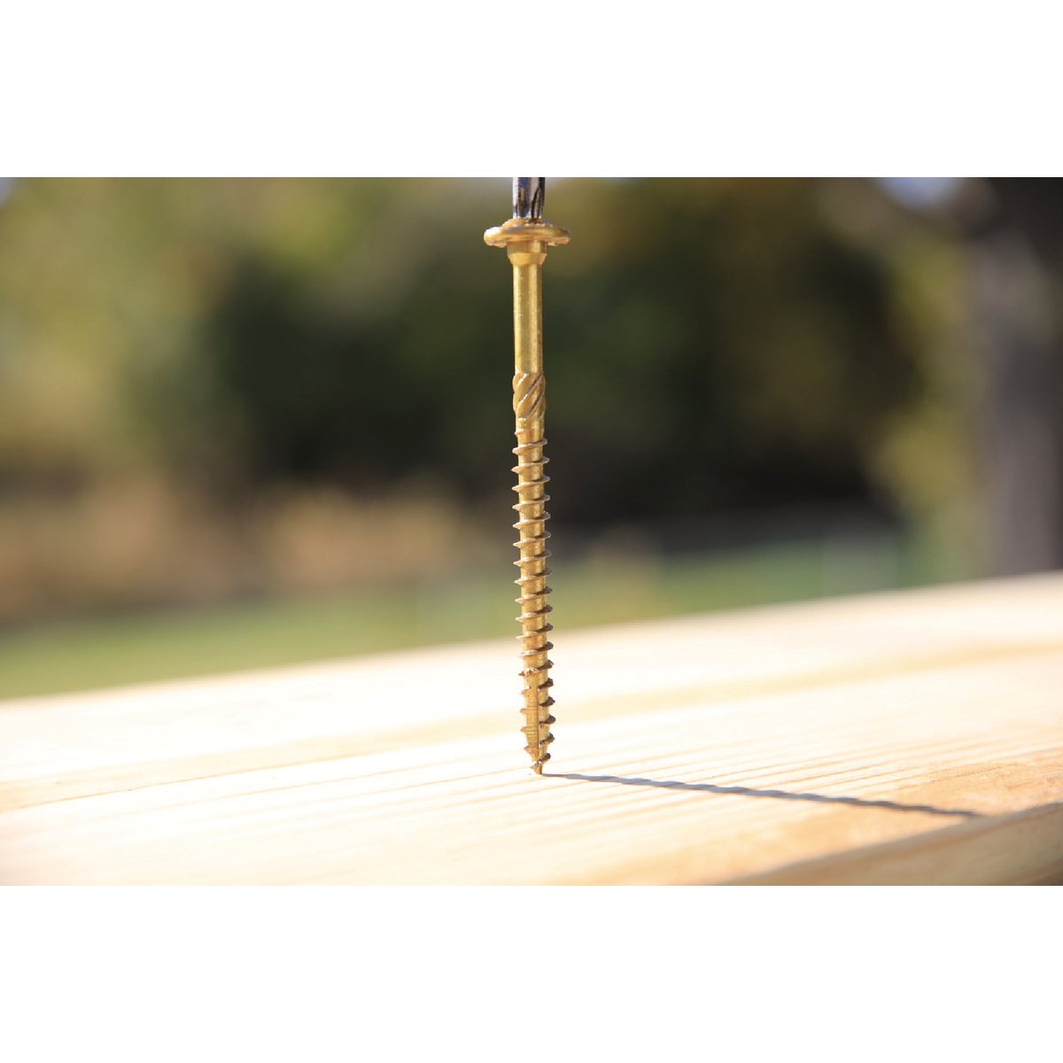 GRK RSS Rugged #10 x 3-1/8 In. Star Drive Washer-Head Structure Screw (800-Count) Image 2