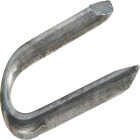 Hillman Fas-n-Tite 3/4 In. Poultry Net Staple (1 Lb.) Image 2