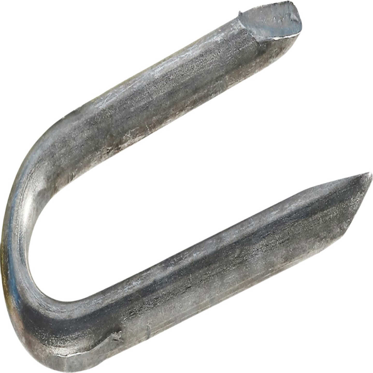 Hillman Fas-n-Tite 3/4 In. Poultry Net Staple (1 Lb.) Image 2