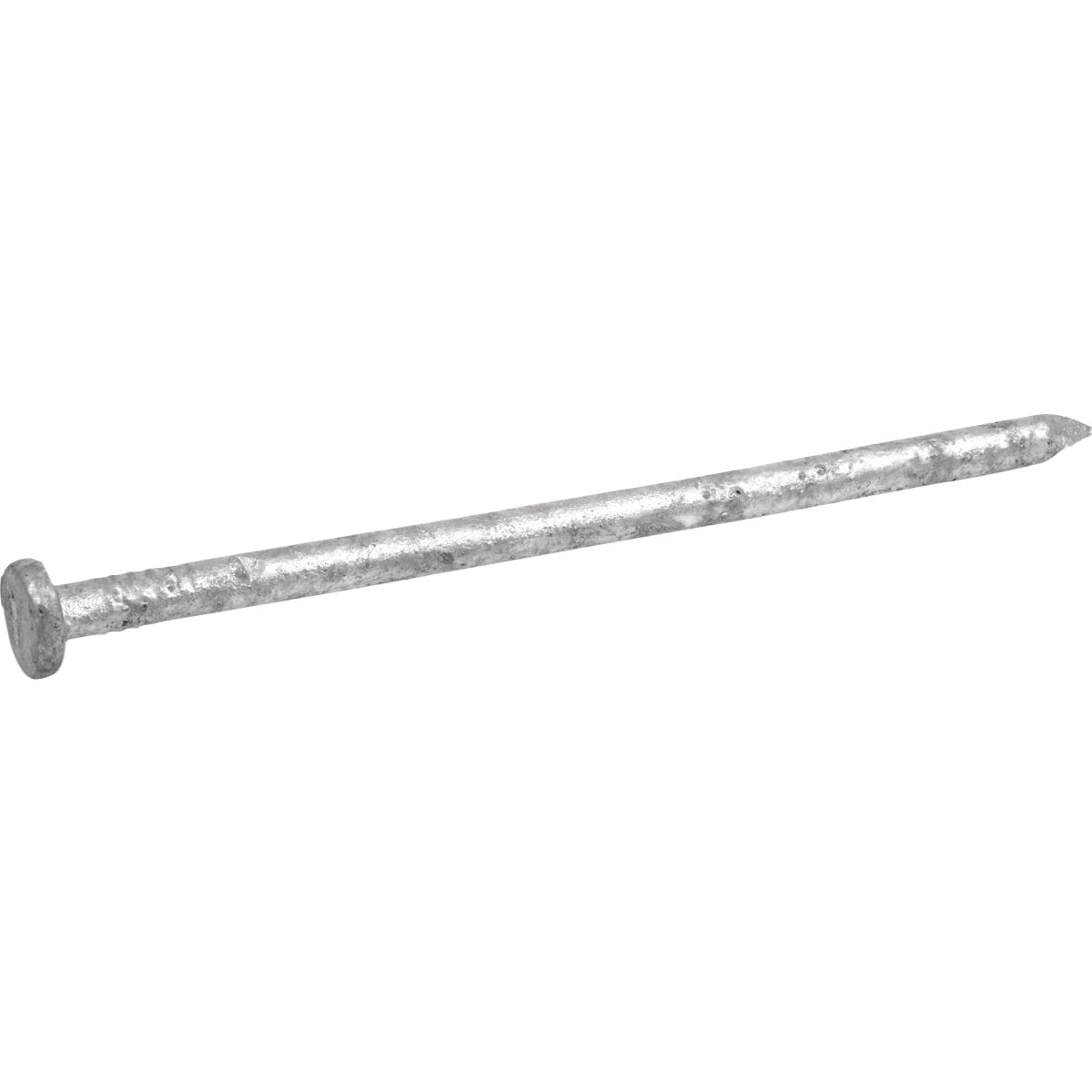 Hillman Fas-n-Tite 12 In. Hot Dipped Galvanized Common Spikes (14-Count) Image 2