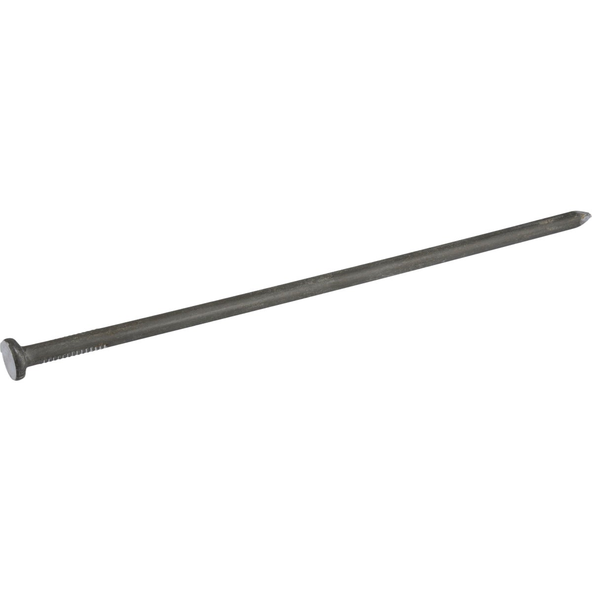 Hillman Fas-n-Tite 12 In. Bright Common Spikes (15-Count) Image 2