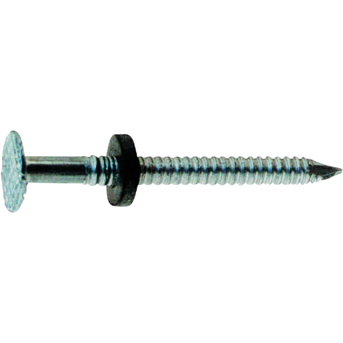Do it Best 1-3/4 In. x 9 ga x 5d Roofing Nails (260-Count)