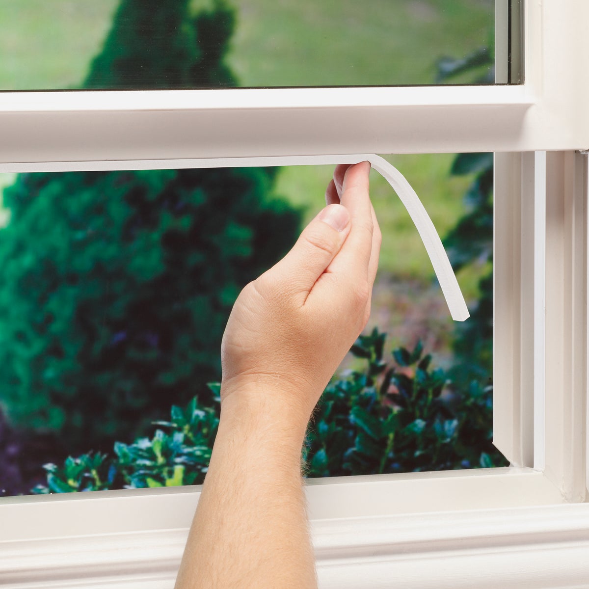 M-D Building Products 1/2 In. W x 1/4 In. H x 17 Ft. L White Foam Window Seal for Medium Gaps Image 3