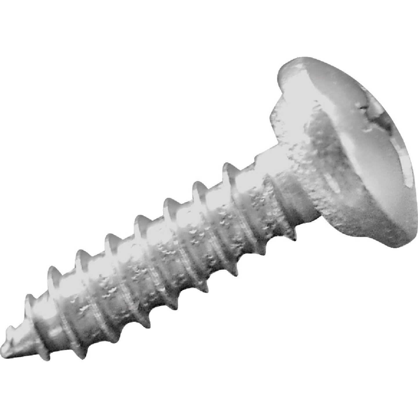 Screen Tight MINItrack 1 In. Stainless Steel Clip Screw (100-Pack) Image 1