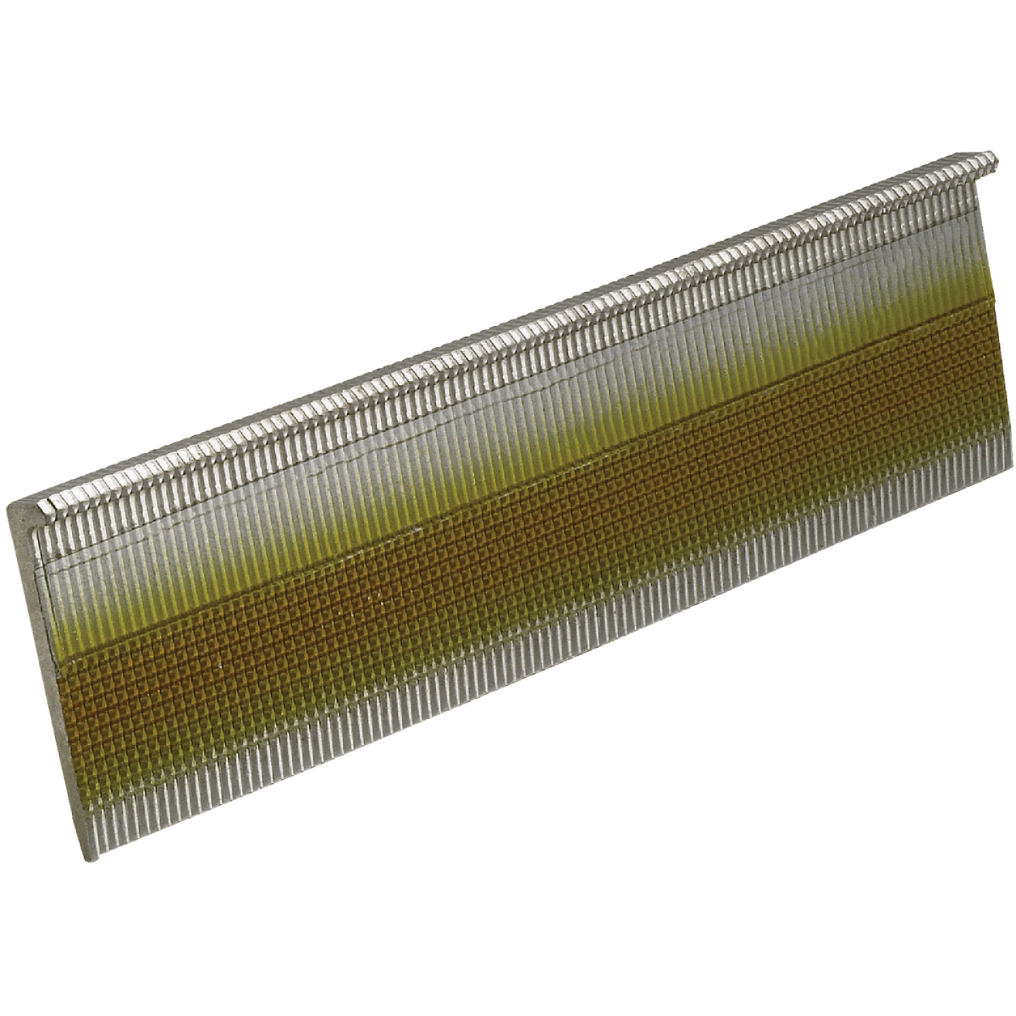 Senco 16-Gauge Bright L-Head Flooring Nail, 2 In. (1000 Ct.) Image 1