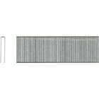 Pro-Fit 1/4 In. x 1-1/4 In. 18 Gauge Electro Galvanized L-Style Narrow Crown Staple (1000 Ct.) Image 1