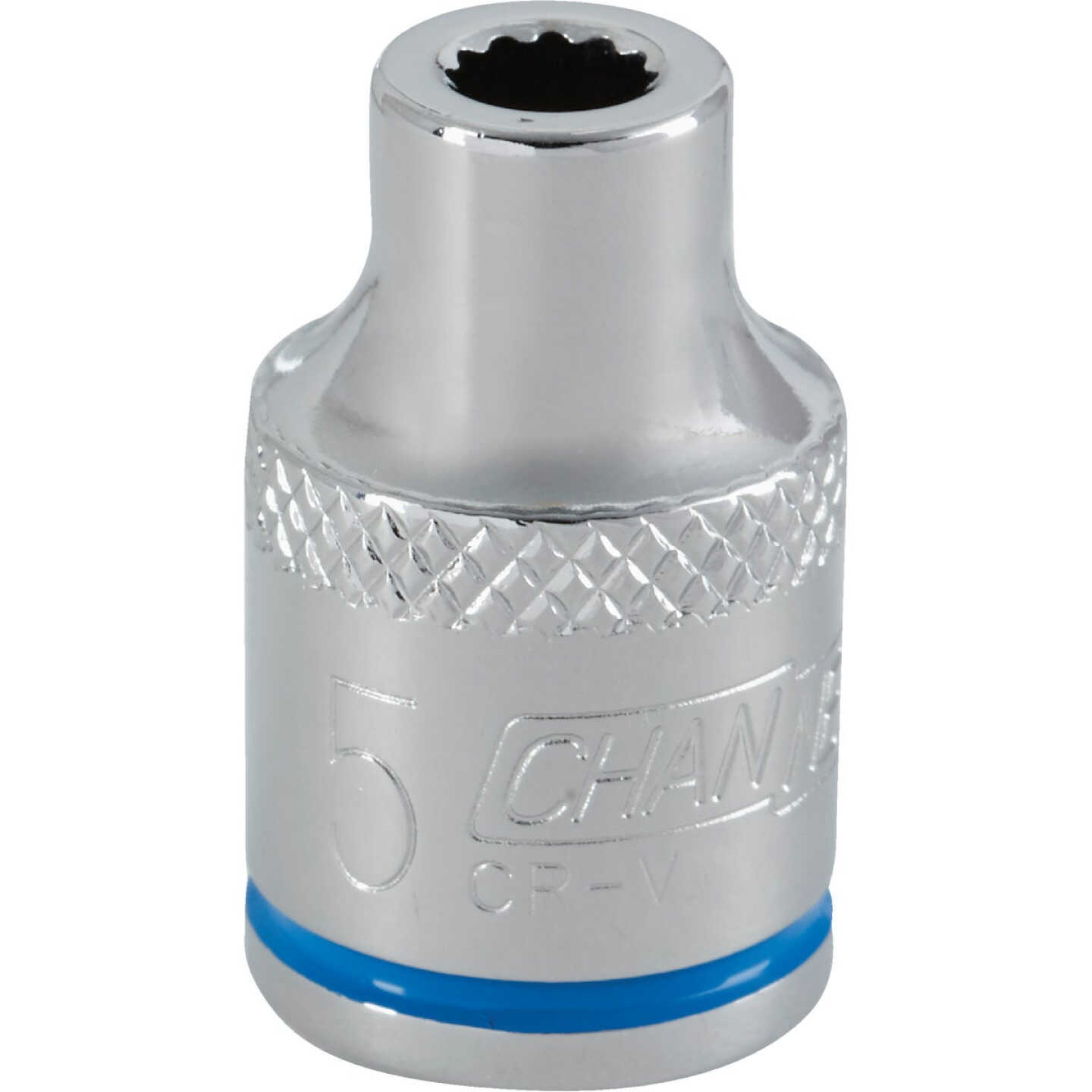 Channellock 3/8 In. Drive 5 mm 12-Point Shallow Metric Socket Image 1
