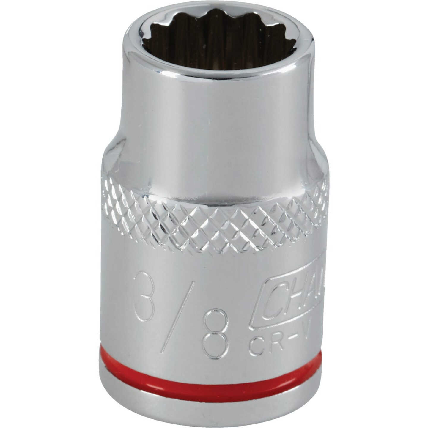 Channellock 3/8 In. Drive 3/8 In. 12-Point Shallow Standard Socket Image 1