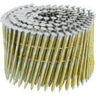 Bostitch 3 In. x 0.120 In. 15 Deg. Coil Framing Nails (2700-Count) Image 3
