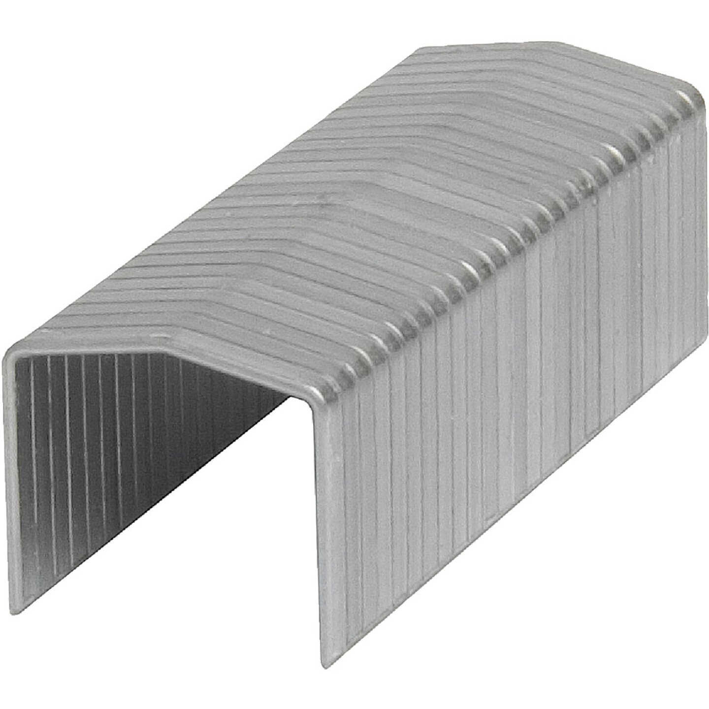 Channellock No. 11 Power Crown Hammer Tacker Staple, 3/8 In. (5000-Pack) Image 1