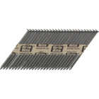 2-3/8" SS CLIP HEAD NAIL Image 1