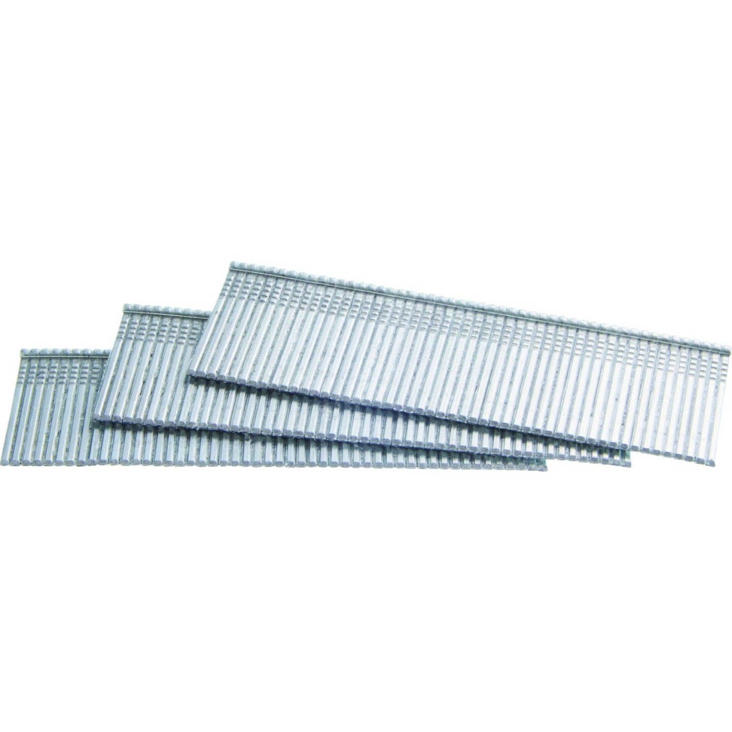Senco 16-Gauge Galvanized Straight Finish Nail, 1 In. (2000 Ct.) Image 1