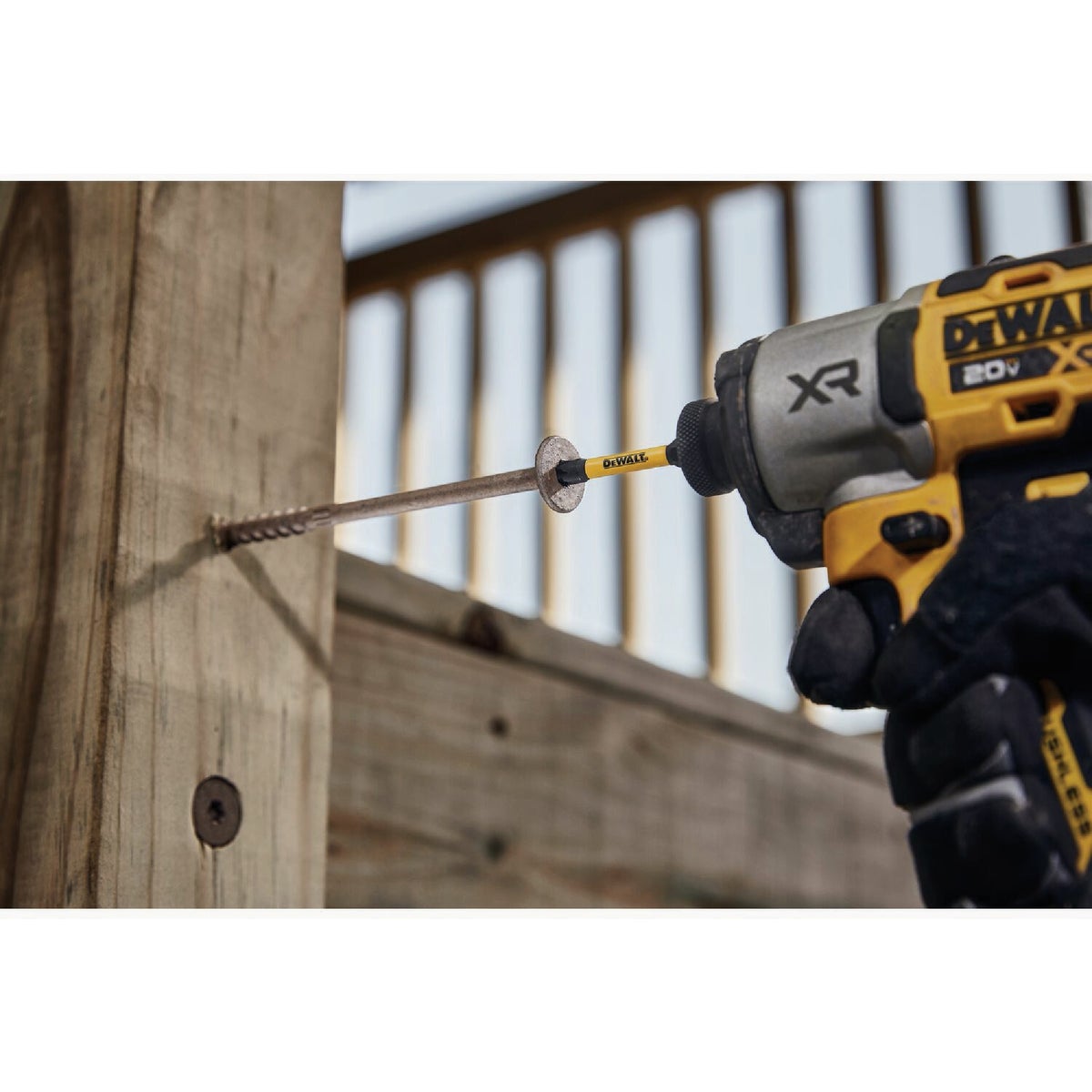 Dewalt Elite Series 1/4 In. Impact Driver Bit Set (30-Piece) Image 3
