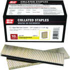 Grip-Rite 1/4 In. x 1-1/4 In. 18 ga Electrogalvanized L-Style Collated Narrow Crown Staple (4000-Count) Image 1