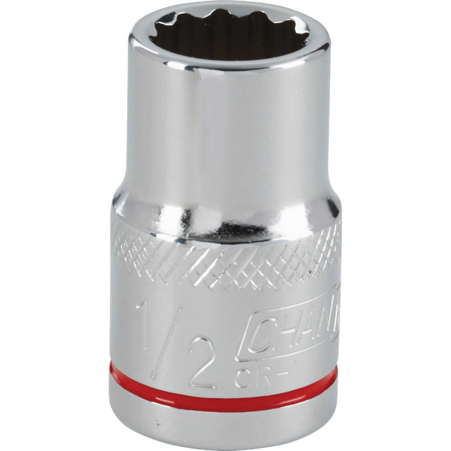 Channellock 1/2 In. Drive 1/2 In. 12-Point Shallow Standard Socket Image 1