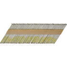 Pro-Fit 2-3/8 In. x 0.113 In. 30 Degree Paper Tape Ring Shank Clipped Head Hot Dipped Galvanized Framing Stick Nails (2000 Ct.) Image 1