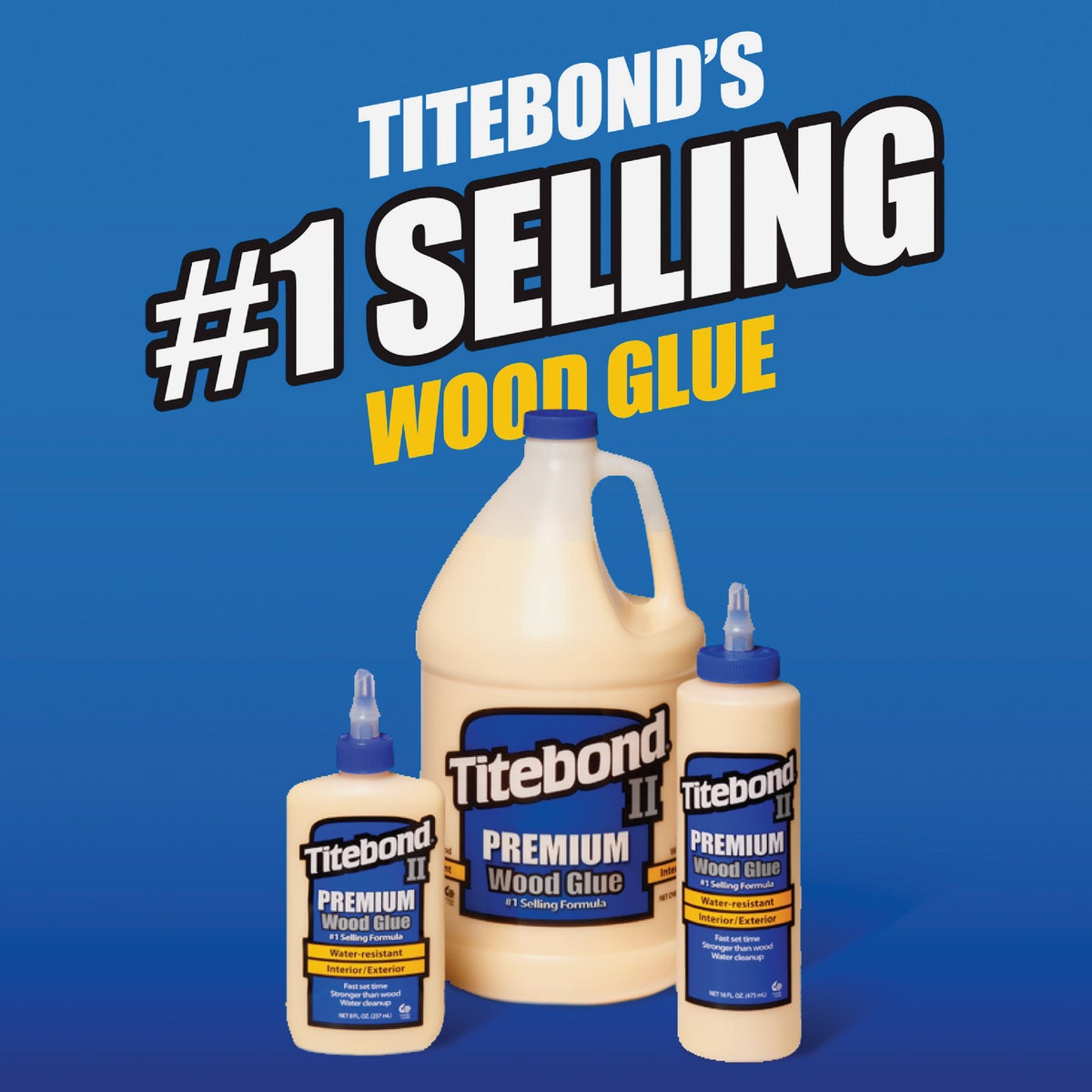 Titebond II 8 Oz. Premium Wood Glue Image 2