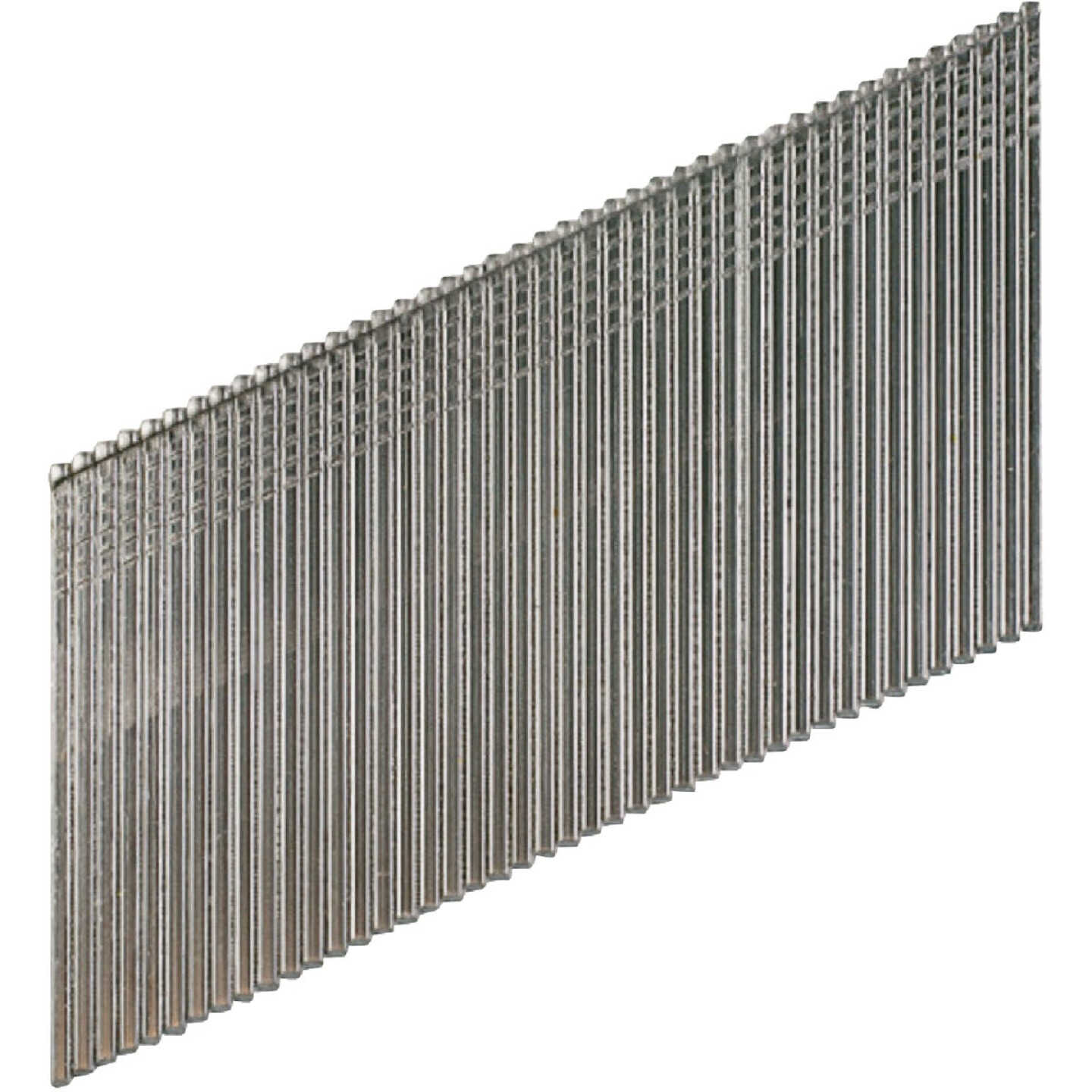 25 Angle, Adhesive Collation, FN-Style, 15-Gauge Finishing Nail 2 in. Type 316 (500-Qty) Image 1