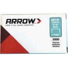 Arrow HT19 Hammer Tacker Staple, 5/16 In. (5000-Pack) Image 1