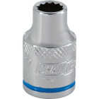 Channellock 3/8 In. Drive 7 mm 12-Point Shallow Metric Socket Image 1