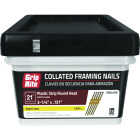 Grip-Rite 3-1/4 In. x 0.131 In. 21 Deg. Bright Coated Round Head Smooth Shank Plastic Strip Collated Framing Nail (1000-Count) Image 1